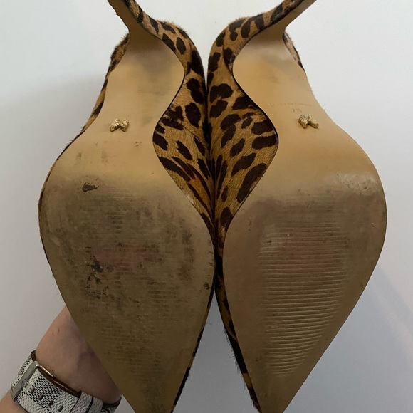 Calf Hair Leopard Print Pumps - Picture 4 of 4